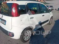 2014 Fiat Panda