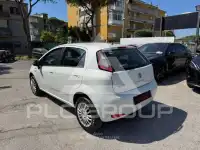 2014 Fiat Punto