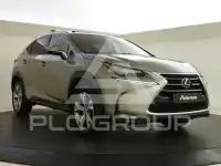 2014 Lexus NX