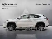 2014 Lexus NX