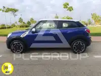 2014 Mini Paceman