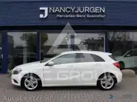 2014 Mercedes Benz A