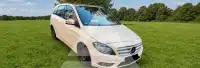2014 Mercedes Benz B-Class