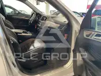 2014 Mercedes Benz ML-Class