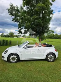 2014 Volkswagen BEETLE