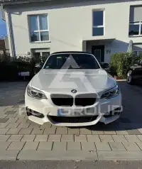 2015 BMW 218