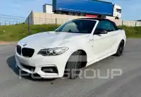 2015 BMW 218