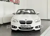 2015 BMW 218