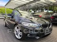 2015 BMW 218