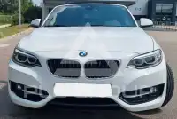 2015 BMW 218