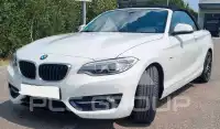 2015 BMW 218