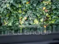 2015 BMW 120