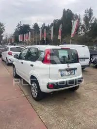 2015 Fiat Panda