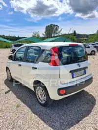 2015 Fiat Panda