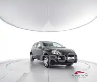 2015 Fiat Punto