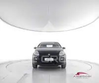 2015 Fiat Punto