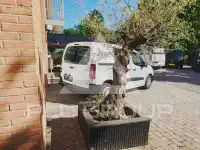 2015 Citroen Berlingo