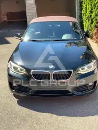 2016 BMW 218