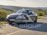 2016 BMW 218