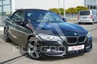 2016 BMW 218