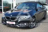 2016 BMW 218