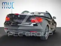 2016 BMW 218