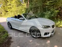2016 BMW 218