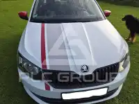 2016 Skoda Fabia