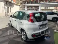 2016 Fiat Panda
