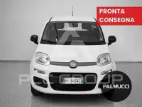 2016 Fiat Panda