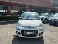 2016 Fiat Panda