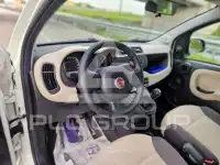 2016 Fiat Panda