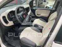 2016 Fiat Panda