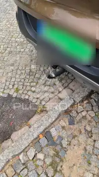 2016 Renault Kadjar