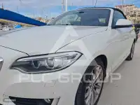 2017 BMW 218