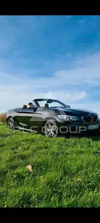 2017 BMW 218
