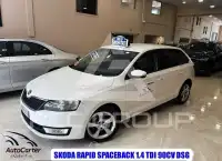 2017 Skoda Rapid