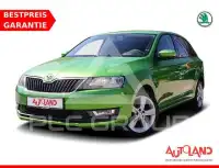 2017 Skoda Rapid