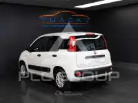 2017 Fiat Panda