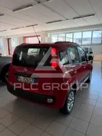 2017 Fiat Panda