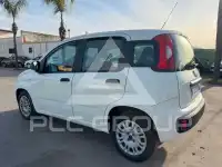 2017 Fiat Panda
