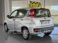 2017 Fiat Panda