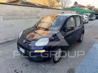 2017 Fiat Panda