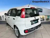 2017 Fiat Panda