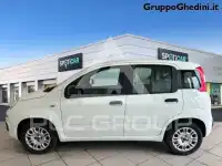 2017 Fiat Panda