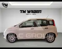 2017 Fiat Panda