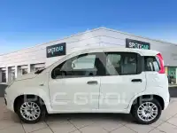 2017 Fiat Panda
