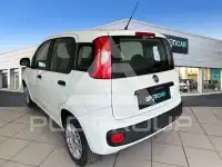 2017 Fiat Panda