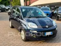 2017 Fiat Panda