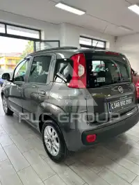 2017 Fiat Panda